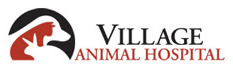 Village Animal Hospital