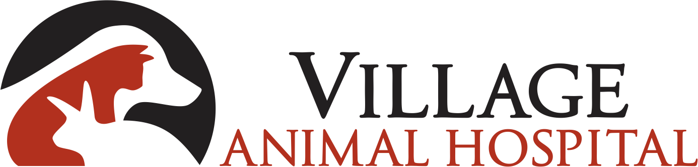 Village Animal Hospital